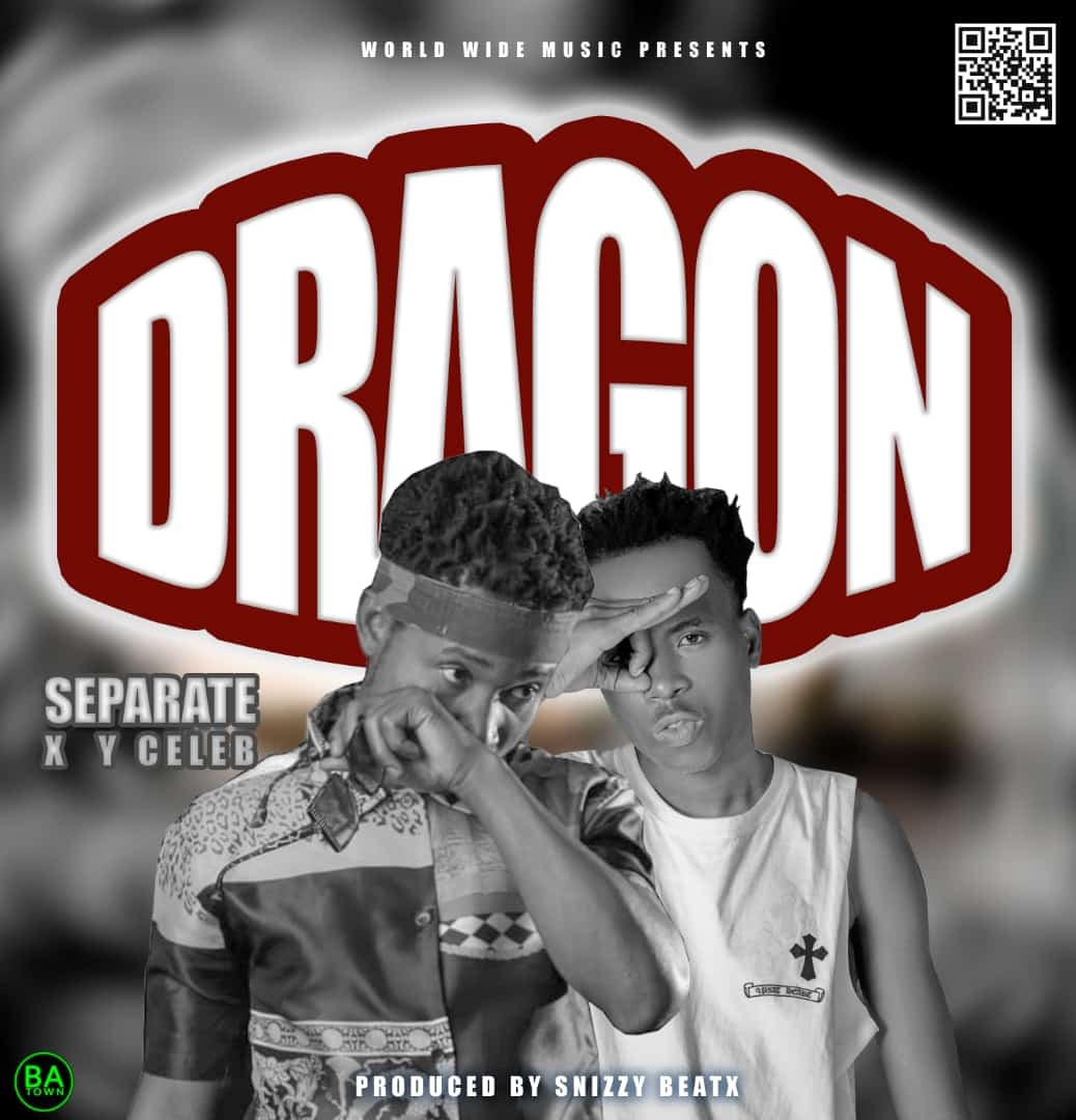 Y Celeb Ft Separate - Dragon Mp3 Download