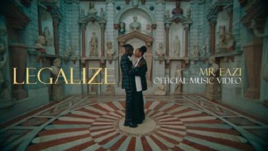 Mr Eazi - Legalize (Official Music Video)