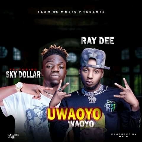 Ray Dee Ft Sky Dollar - Uwaoyo Waoyo