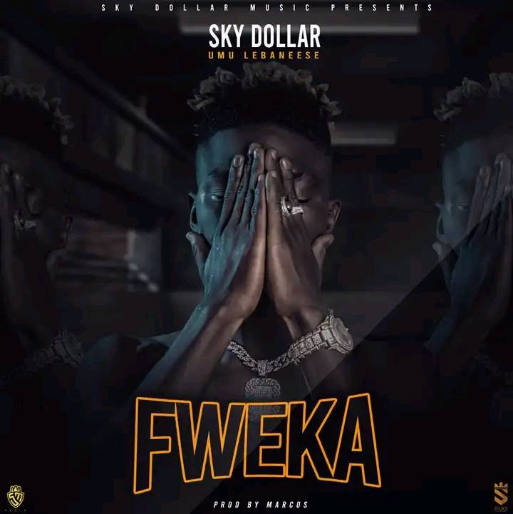 Sky Dollar - Fweka